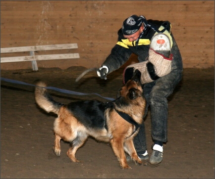 Training in Estonia 11/2007